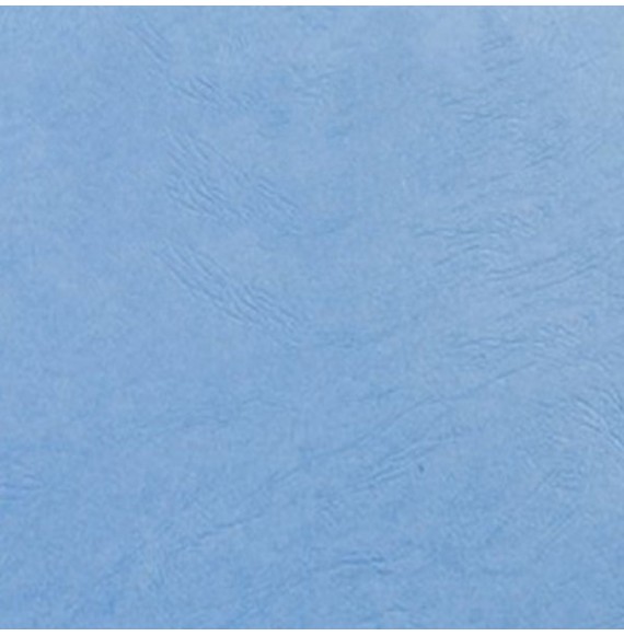 Couverture grain cuir bleu France  250G A4/A3